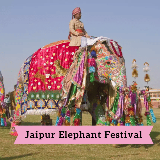 190 jaipur elephant festival wishes 2023 rituals significance blessings 65705d2a3ed89